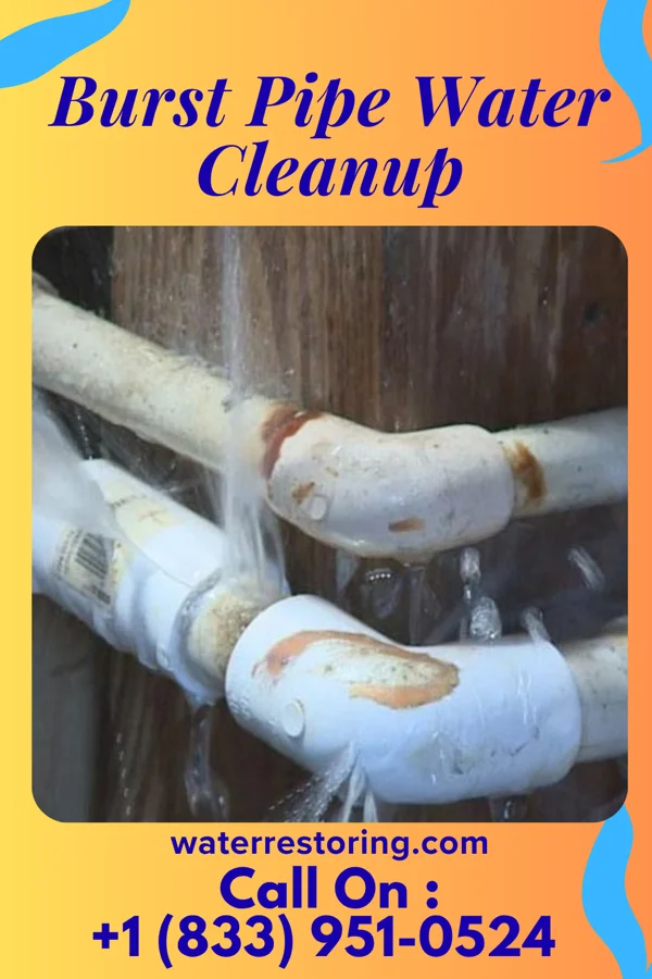 Burst Pipe Water Cleanup in Coleman, MI
