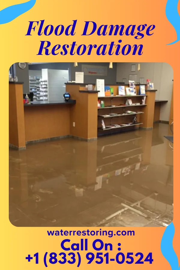 Flood Damage Restoration in Coleman, MI