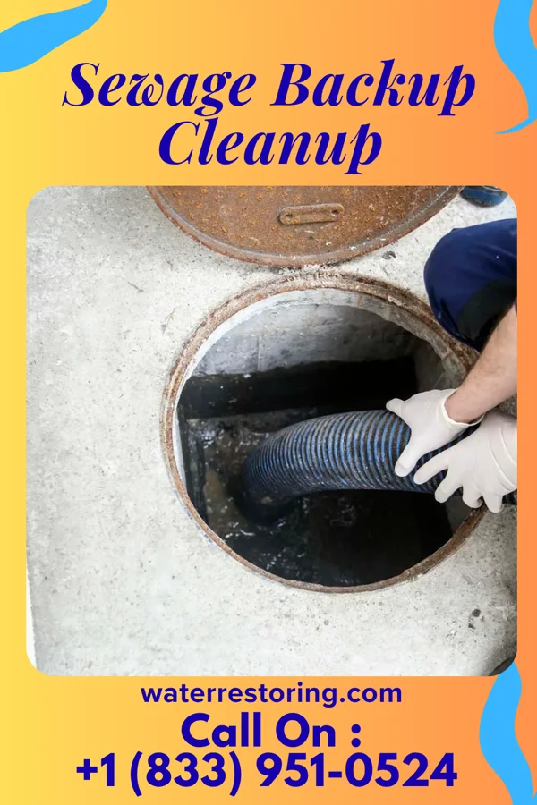 Sewage Backup Cleanup in Coleman, MI