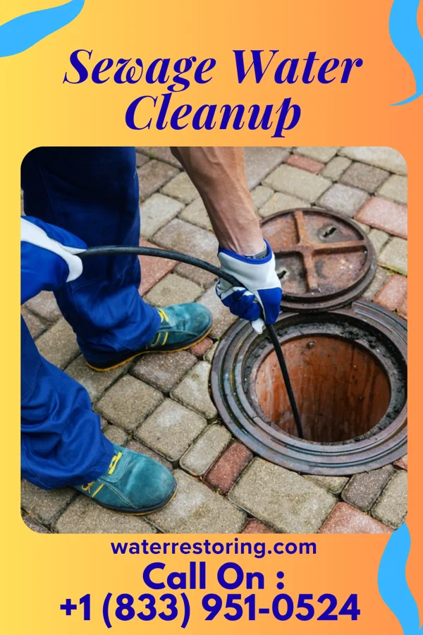 Sewage Water Cleanup in Coleman, MI